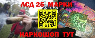 мяу мяу мука Жуковский