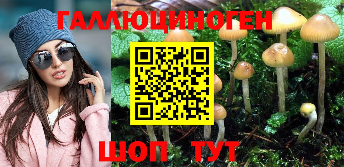 что такое   Вход с VPN  Мелеуз  Псилоцибиновые грибы MAGIC MUSHROOMS 